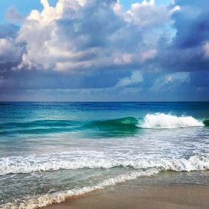 Meet your Posher, Trisha